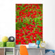 Poppy Field Wall Mural