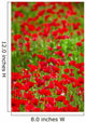 Poppy Field Wall Mural
