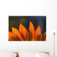 Sunflower Close-Up Wall Mural