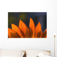 Sunflower Close-Up Wall Mural