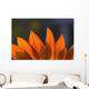 Sunflower Close-Up Wall Mural