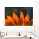 Sunflower Close-Up Wall Mural