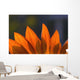 Sunflower Close-Up Wall Mural