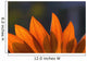 Sunflower Close-Up Wall Mural