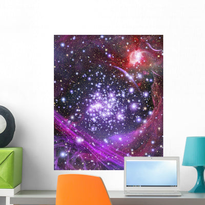 Celestial Objects Wall Mural shown on a wall