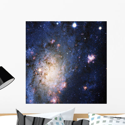 Celestial Objects Wall Mural shown on a wall