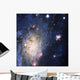 Celestial Objects Wall Mural