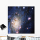 Celestial Objects Wall Mural