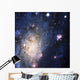 Celestial Objects Wall Mural