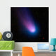 Celestial Objects Wall Mural