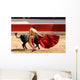 Matador with Cape Wall Mural