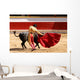 Matador with Cape Wall Mural
