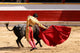 Matador with Cape Wall Mural