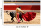Matador with Cape Wall Mural