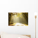 Autumn Scenery of the Forest Road Wall Mural