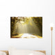 Autumn Scenery of the Forest Road Wall Mural