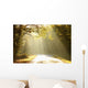 Autumn Scenery of the Forest Road Wall Mural