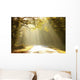Autumn Scenery of the Forest Road Wall Mural