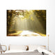 Autumn Scenery of the Forest Road Wall Mural