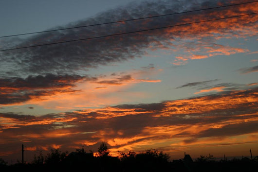 Sunrise Wall Mural