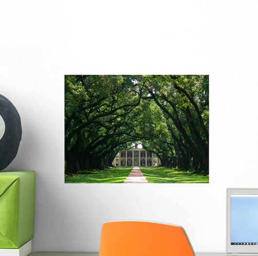 Oak Alley Wall Mural