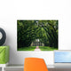 Oak Alley Wall Mural