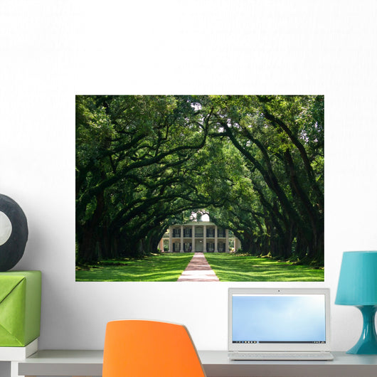 Oak Alley Wall Mural