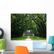 Oak Alley Wall Mural