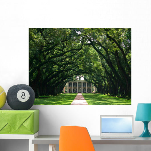 Oak Alley Wall Mural