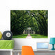 Oak Alley Wall Mural