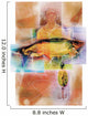 Fisherman With Fish Wall Mural