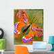 Butterfly Illustration Wall Mural