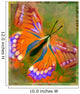 Butterfly Illustration Wall Mural