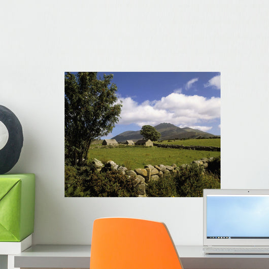Cottages On A Farm Near The Mourne Mountains, County Down, Ireland Wall Mural