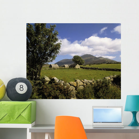 Cottages On A Farm Near The Mourne Mountains, County Down, Ireland Wall Mural