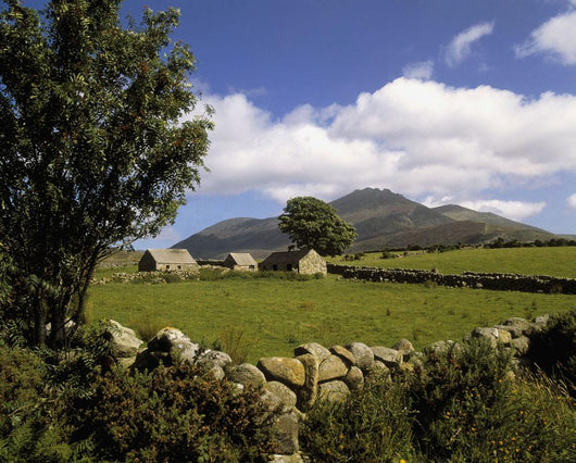 Cottages On A Farm Near The Mourne Mountains, County Down, Ireland Wall Mural