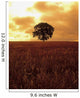 Oak Tree In A Barley Field, Ireland Wall Mural