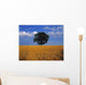 Oak Tree In A Barley Field, Ireland Wall Mural