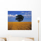 Oak Tree In A Barley Field, Ireland Wall Mural