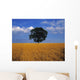 Oak Tree In A Barley Field, Ireland Wall Mural