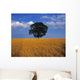 Oak Tree In A Barley Field, Ireland Wall Mural