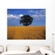 Oak Tree In A Barley Field, Ireland Wall Mural
