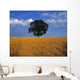 Oak Tree In A Barley Field, Ireland Wall Mural