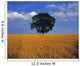 Oak Tree In A Barley Field, Ireland Wall Mural