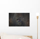 Closeup Of An Animal's Eye Wall Mural