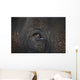 Closeup Of An Animal's Eye Wall Mural