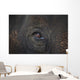 Closeup Of An Animal's Eye Wall Mural