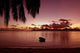 Seychelles 4 Wall Decal
