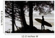 Silhouette Of A Surfer Looking Out To The Water Wall Mural