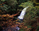 High Angle View Of A Waterfall Wall Mural